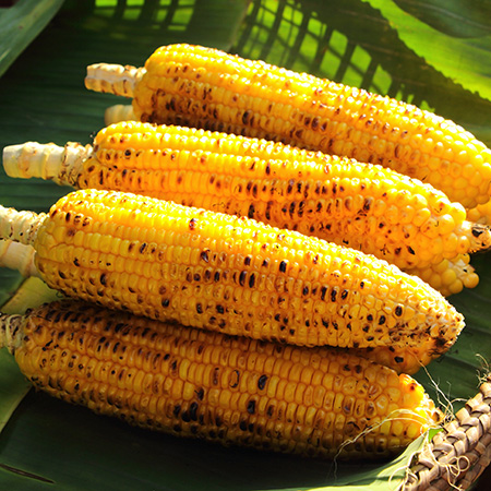 roast corn