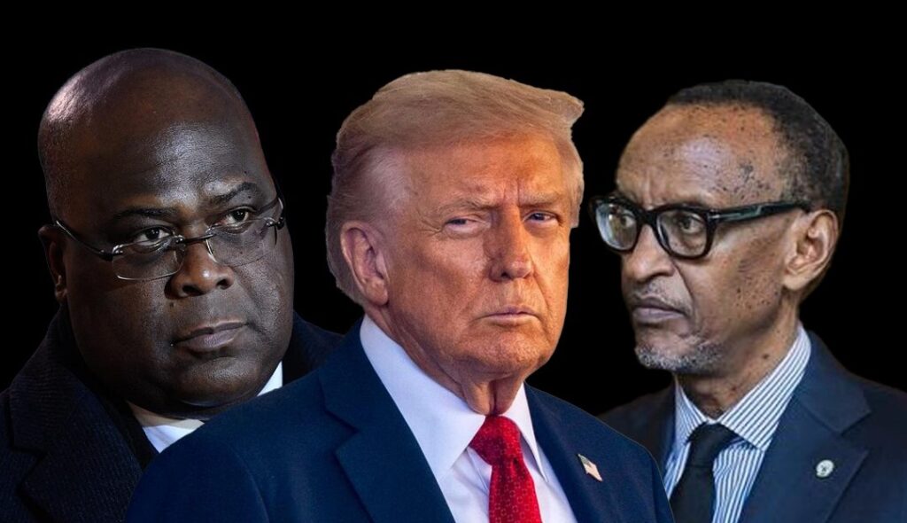 e1d27d68-663b-4a99-b6b3-a06404e6592a-1024x590-1