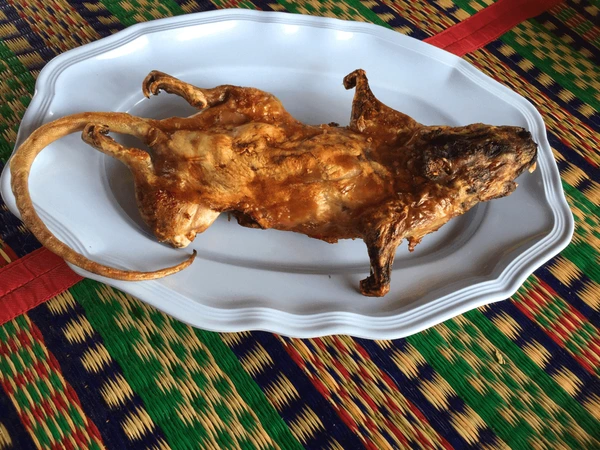 grilled-bandicoot-rat-thai-yummy-600nw-1571142790