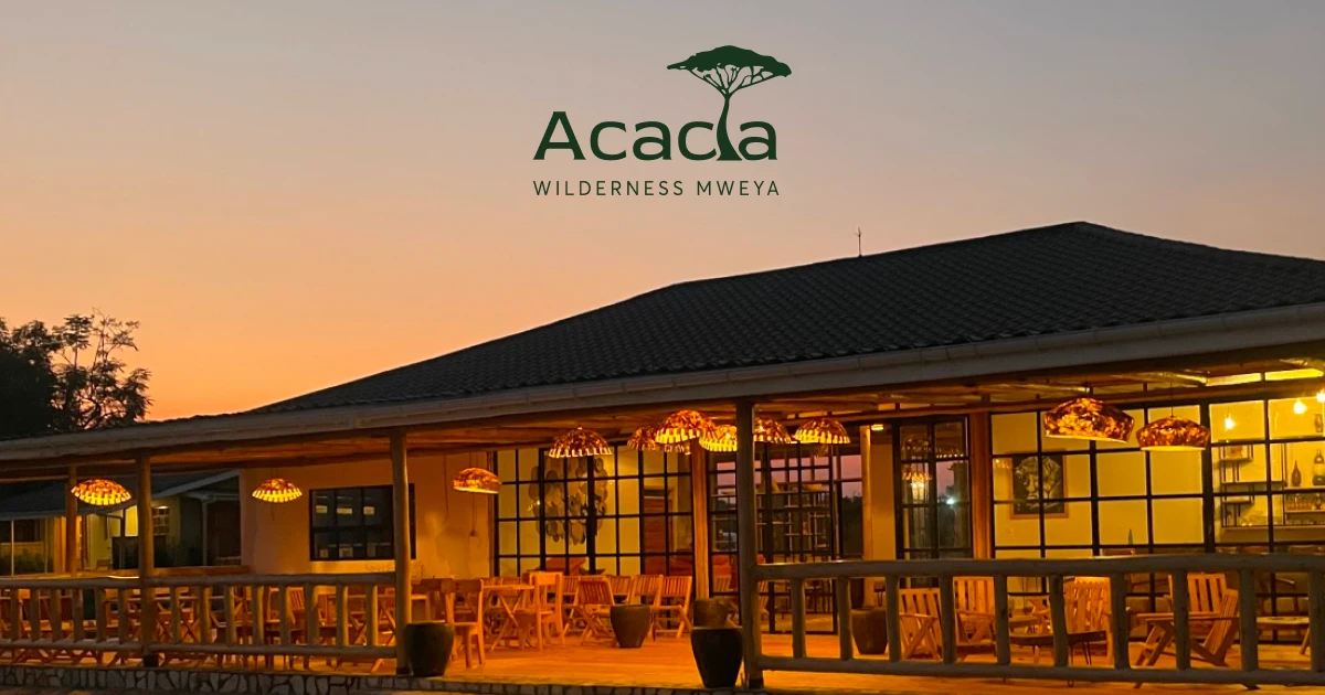 acacia-wilderness-swift-news